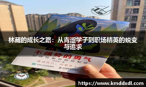 BG大游
